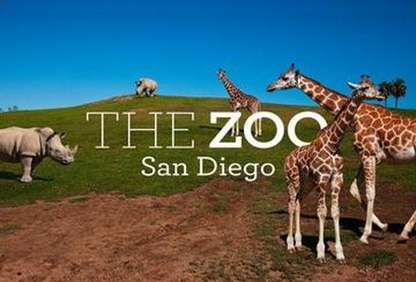 The Zoo: San Diego