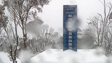 Heavy snow has fallen in the NSW and Victorian alpine regions after an &quot;almost totally snowless&quot; last four weeks.
