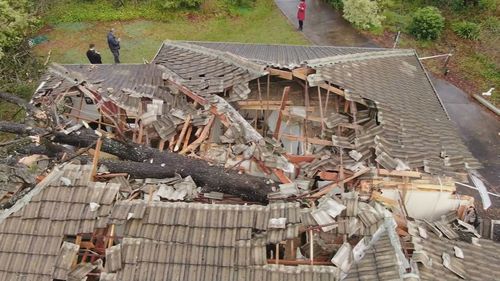 An Adelaide woman whose home was squashed by a massive tree in a storm 18 months ago has won a David and Goliath battle with her insurance company.