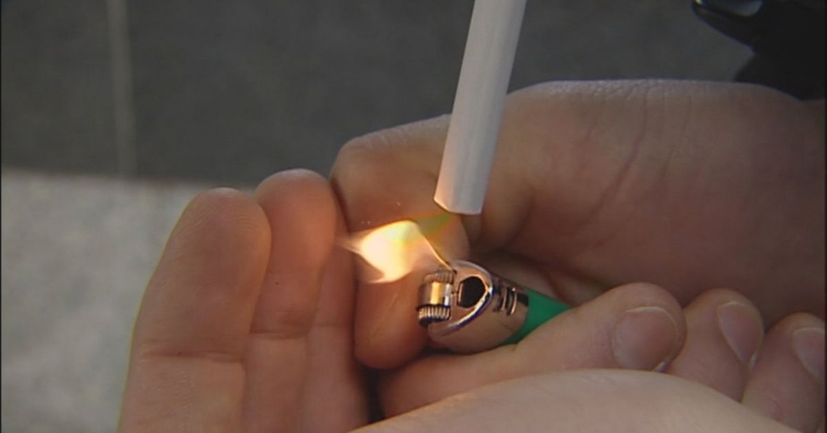 tobacco substitute QuitSmart Cigarette Substitute