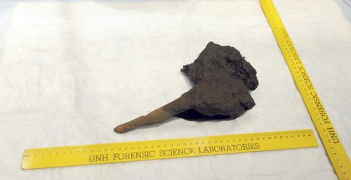 What is believed to be a piece of a leg bone was extracted from a concretion taken from the Whydah pirate ship wreck. The bone was removed Monday, Feb. 19, 2018, during a press conference in West Yarmouth, Mass. It will be tested to see if the remains discovered are those of Whydah Captain Samuel Bellamy, or "Black Sam" Bellamy. (Merrily Cassidy /The Cape Cod Times via AP)