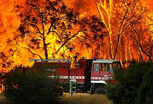 Fire truck in Bunyip State Forest on Black Saturday (AAP)