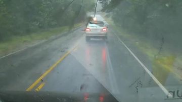 9RAW: Tree almost crushes car during Hurricane Irma