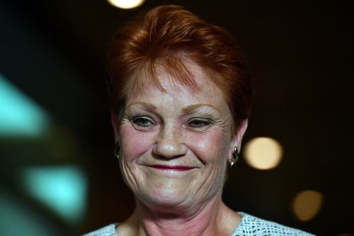 Pauline Hanson will help lead a parliamentary inquiry into family law even after launching an extraordinary attack against women who she claims are lying about domestic violence in the family courts.