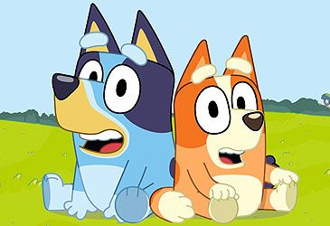 What is the name of Bluey's four-year-old younger sister?