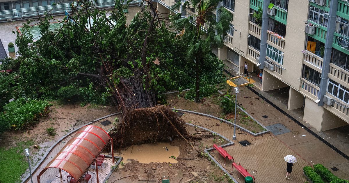 Super Typhoon Ragasa Update: at Least 17 Dead in Taiwan as 'super T...