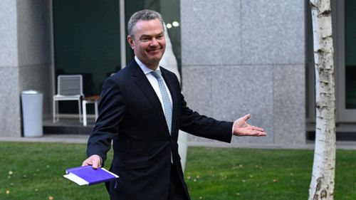 Christopher Pyne throws his hands in the air as speculation swirls about a leadership spill.
