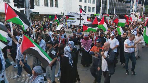 Pro-Palestine protests