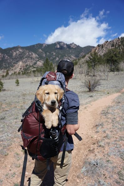 Man hiking with dog, pet-friendly holiday