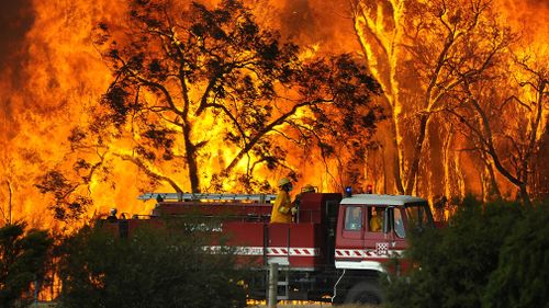 Sábado, sábado, Bushfires 2009