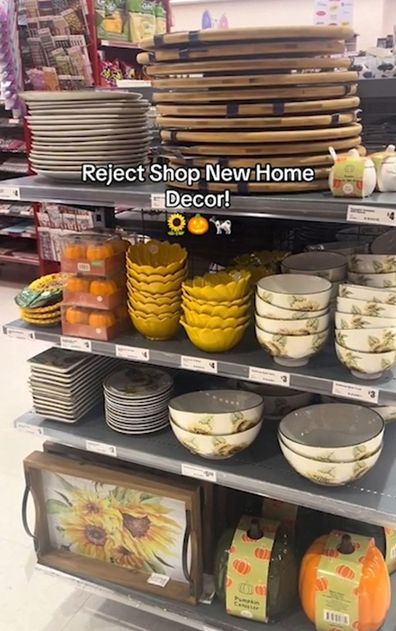 The Reject Shop's farm homewares range on shelves in the store.