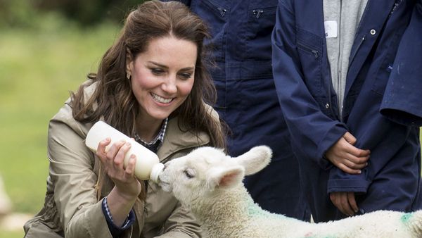 Duchess of Cambridge farm