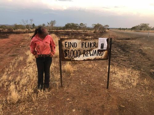 Ashleigh and her friends have travelled to Halls Creek and are searching for Flikr. They've set a reward for her return.