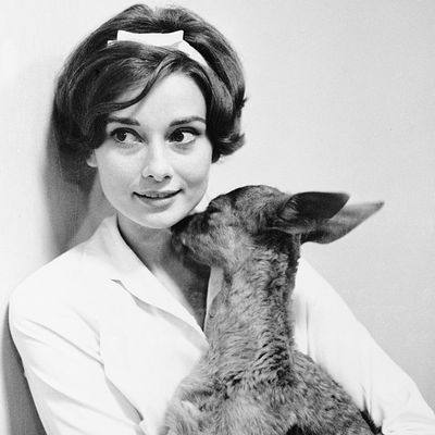 Audrey Hepburn's pet fawn