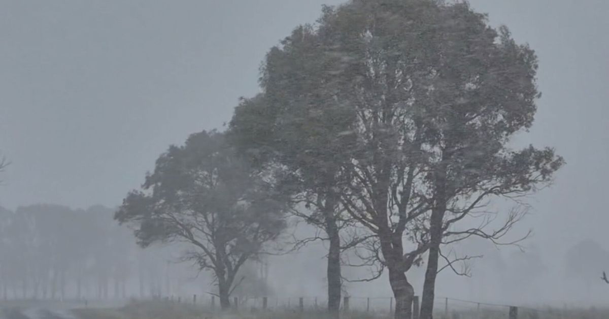 ‘Certainly cold enough’: Once-in-a-decade snowstorm looms over Queensland