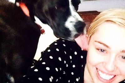 Miley's dog Mary Jane has an even more adventurous tongue than his owner!