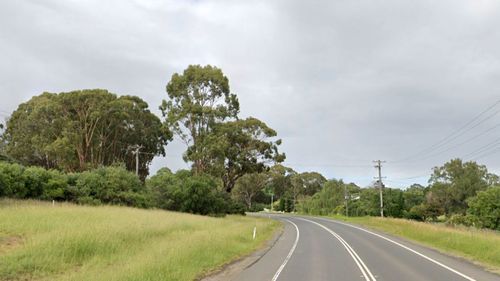 A woman has suffered spinal injuries after a tree fell on a car in Sydney's south.