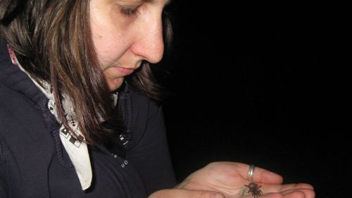 Dr Amber Beavis collecting spiders in Queensland as part of the Bush Blitz program. (Amber Beavis)