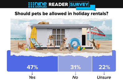 pets in holiday homes nine reader survey