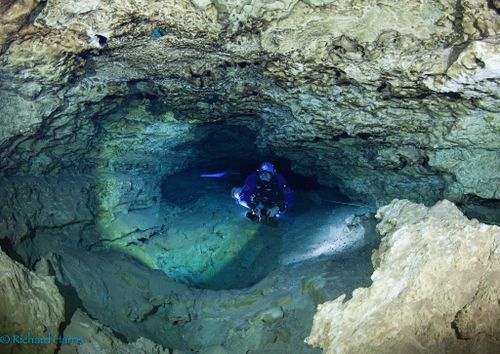 Richard Harris is an expert diver from South Australia. Picture: Facebook