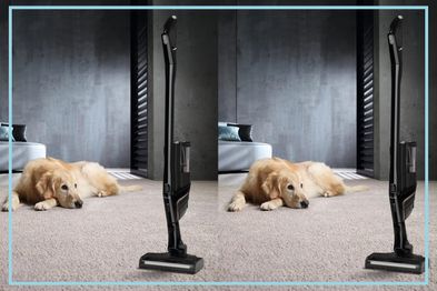 9PR: Miele Triflex HX1 Cat and Dog Cordless Stick Vacuum Cleaner
