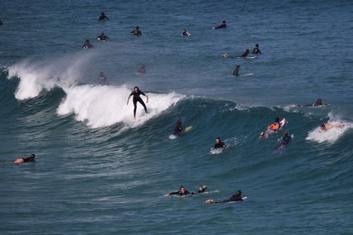 Surfers would be forced into a small area of the iconic Bondi Beach if a government motion is passed. Picture: AAP.