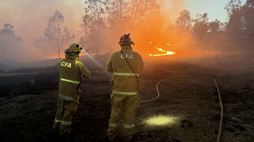 Fotos enviadas para o Facebook na página CFA do Corpo de Bombeiros de Sassafras-Ferny Creek. Esta foi a legenda que colocaram nas imagens: Um veículo e tripulação de Sassafras-Ferny Creek foram enviados ontem à noite para ajudar com os incêndios na área de Longwood. Desejamos a eles uma implantação segura e bem-sucedida. Tenha certeza de que temos muita reserva para lidar com quaisquer incidentes locais!
