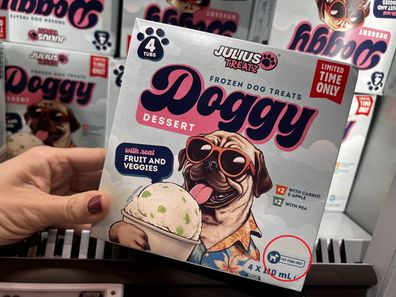 aldi dog ice cream mistake 