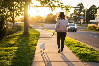 Woman walking the dog at sunset