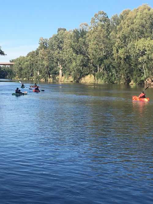 Dubbo locals beat the heat with kayaks on the Macquarie River at 9am today. (Picture: Melissa Blomeley)