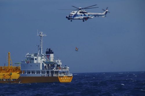 A beachgoer who was swept 80 kilometres out to sea in a floating ring has been rescued off Japan's east coast some 36 hours after she went missing, authorities said.