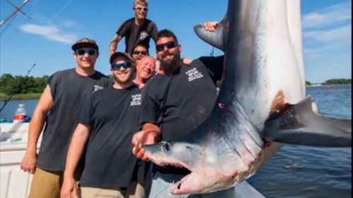 The group were fishing for mako sharks when a great white decided to join them.