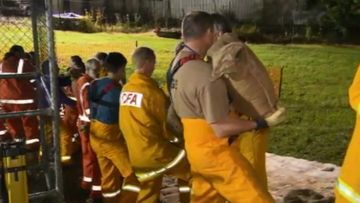 Hundreds of residents from the Parfitt Road area in Wangaratta have been evacuated after a levee began leaking. (9NEWS)