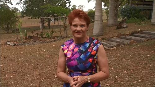 Senator Pauline Hanson was challenged to catch a cane toad on A Current Affair.