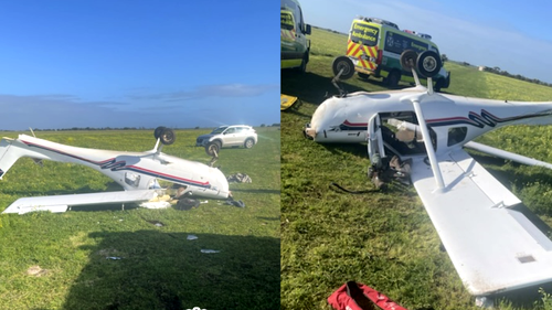 Horse dies after colliding with light plane in South Australia - 9News