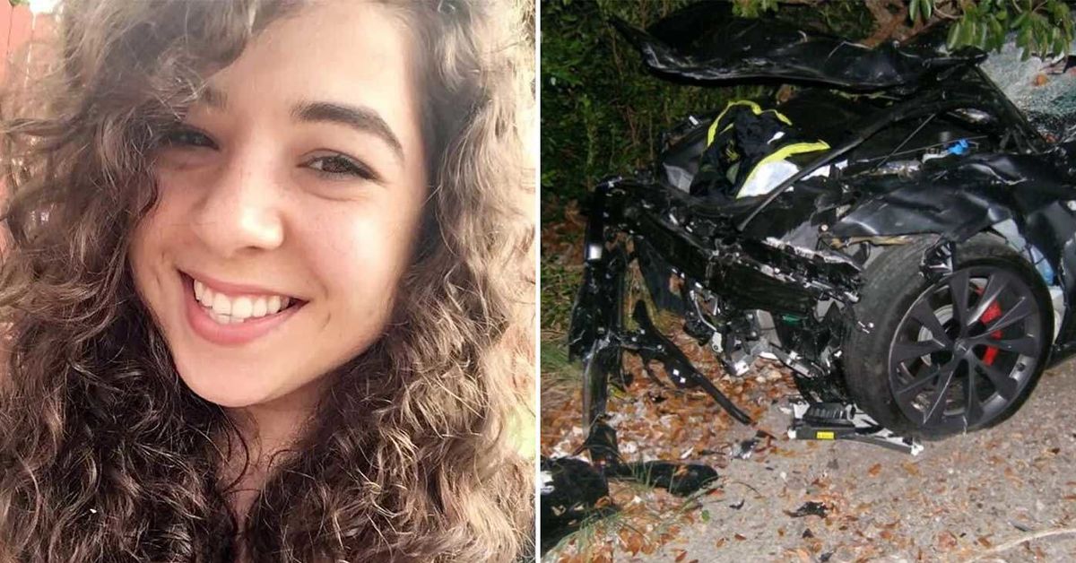 Tesla denies responsibility after stargazer struck by car on ‘autopilot’