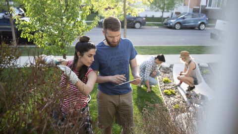 Couple renovating front yard