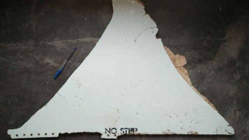 Plane part found by US man hunting MH370