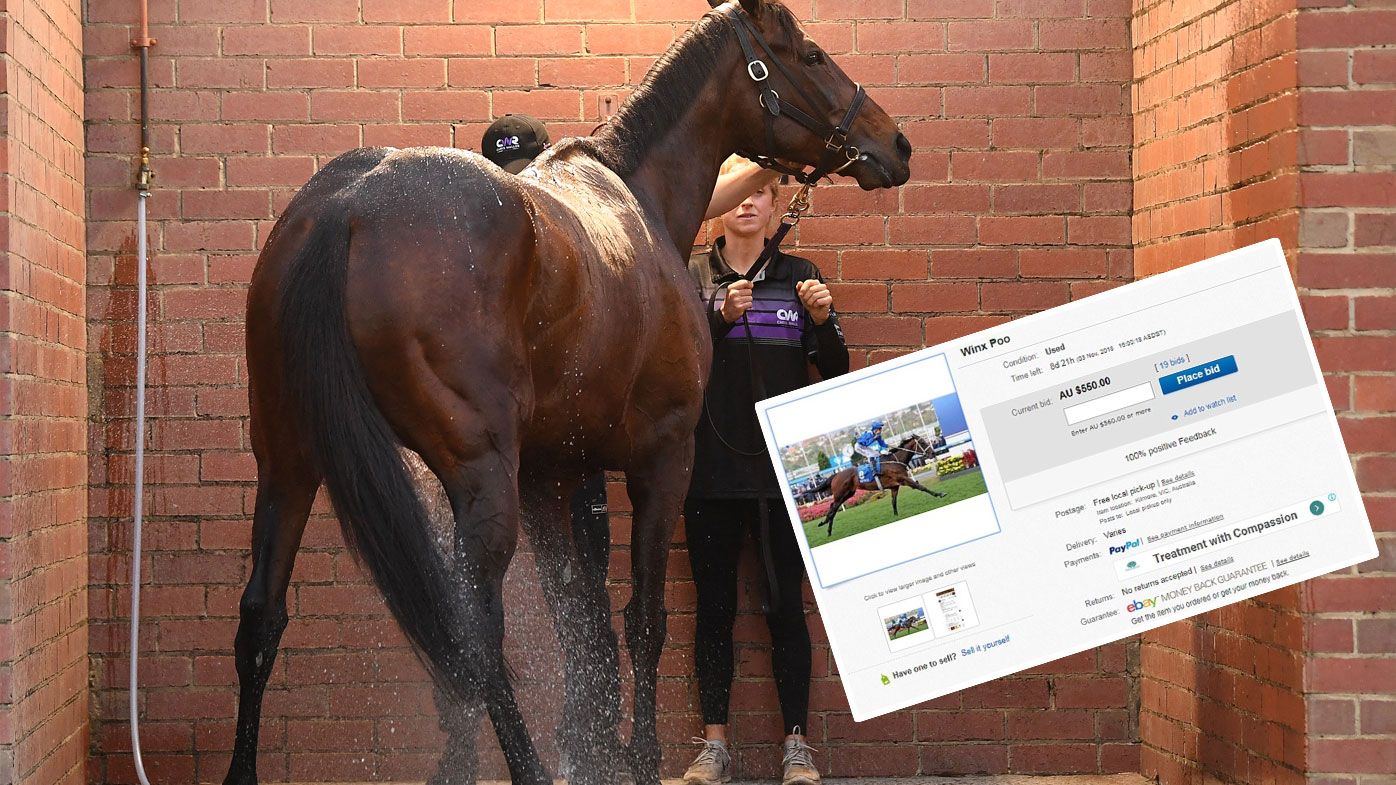 Winx excrement goes for sale on eBay