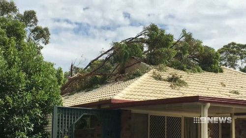 More storms are expected for parts of the state tomorrow. (9NEWS)