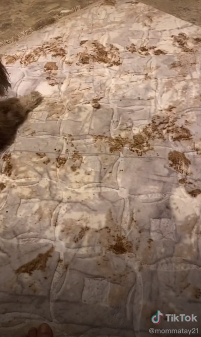 Poop rug pattern
