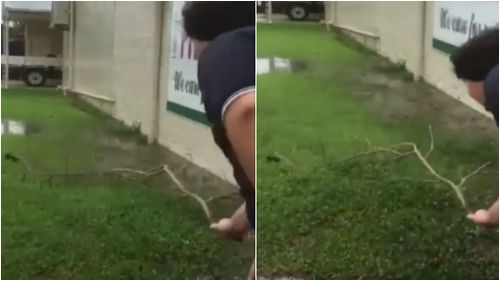 This brave man used a tree branch to carry the spider to the safety of dry land. (Supplied)