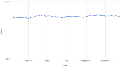 Weight graph over a year