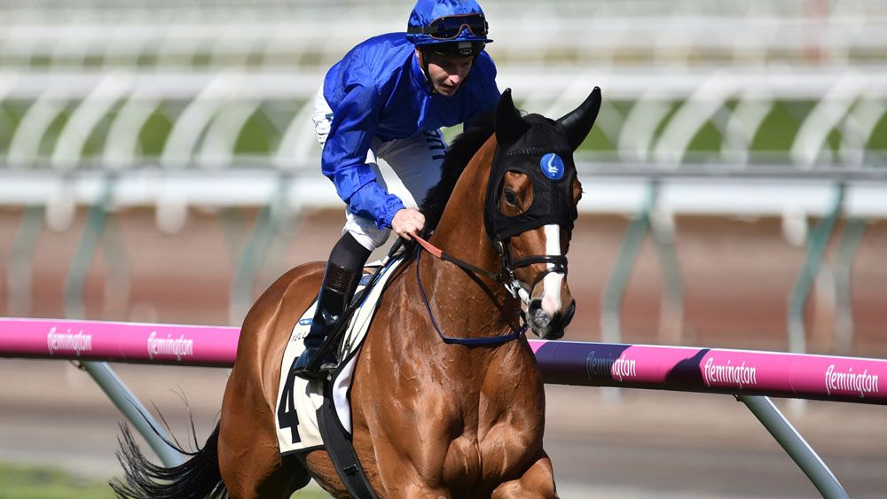 Global powerhouse Godolphin could have a quarter of the Melbourne Cup field, paying up for six horses at the latest acceptance stage including the favourite Hartnell.(AAP)
