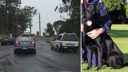 Man charged with assaulting police dog and ramming police car in Coomera Waters