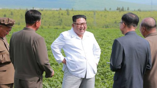 North Korean dictator Kim Jong-un in a potato field. (KCNA/AAP)