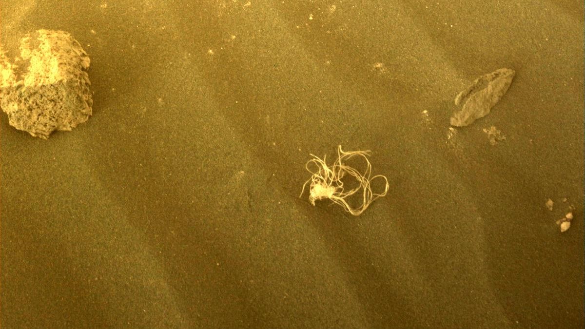 A string-like material was photographed on Mars on Sol 495, July 11. 