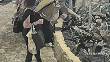 The RSPCA are looking for a man and a woman after they were seen dumping kittens in a Tea Tree gardens shopping centre.