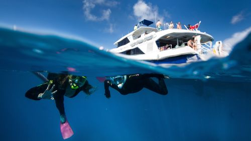 Tourists snorkel over Flynn Reef off the coast of Cairns