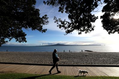 A man walks his dog under level 3 restrictions along Kohimarama Beach in Auckland, New Zealand. COVID-19 restrictions are in place across the country.